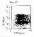 Fig. 05 - Use of CD28-specific monoclonal antibodies for producing a pharmaceutical composition for treating virus infections