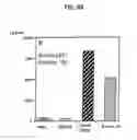Fig. 12 - Use of CD28-specific monoclonal antibodies for producing a pharmaceutical composition for treating virus infections