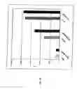Fig. 14 - Use of CD28-specific monoclonal antibodies for producing a pharmaceutical composition for treating virus infections
