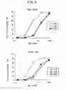 Fig. 06 - Polynucleotides encoding anti-ganglioside antibodies