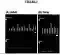 Fig. 04 - PRO34128 antibodies