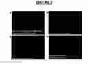 Fig. 06 - PRO34128 antibodies