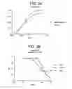Fig. 04 - Humanized antibodies that recognize beta amyloid peptide