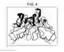 Fig. 05 - Humanized antibodies that recognize beta amyloid peptide