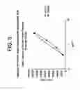 Fig. 07 - Humanized antibodies that recognize beta amyloid peptide