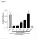 Fig. 11 - Antibody molecules having specificity for human IL-6