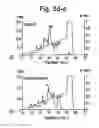 Fig. 07 - Nucleic acid molecule comprising a nucleic acid sequence coding for a haemocyanin