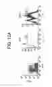Fig. 13 - Compositions and methods for modulation of RORgammat functions