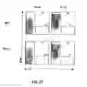 Fig. 26 - Compositions and methods for modulation of RORgammat functions