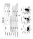 Fig. 31 - Compositions and methods for modulation of RORgammat functions