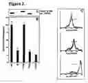 Fig. 03 - Modified whole cell, cell extract and omv-based vaccines