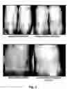 Fig. 06 - Compositions comprising vitamins and/or derivatives thereof stablished with olea europea extract and/or ionene polymers