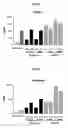 Fig. 04 - Composition for treatment of osteoarthritis containing apigenin as chondroregenerative agent