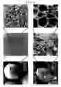 Fig. 02 - Method for preparing therapeutic agent for cancer