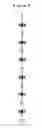Fig. 07 - Plant extraction using nonlinear vibration