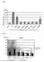 Fig. 05 - Anti-inflammatory agent