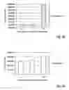 Fig. 03 - Chewing gum comprising biodegradable polymers and having accelerated degradability