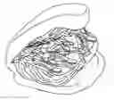 Fig. 01 - Method of Producing Edible Packaging Container