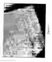 Fig. 02 - Coated articles and methods of manufacture thereof