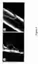 Fig. 05 - Coated articles and methods of manufacture thereof