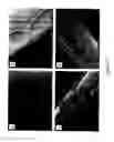 Fig. 08 - Coated articles and methods of manufacture thereof