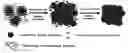Fig. 02 - Highly conductive ink composition and method for fabricating a metal conductive pattern