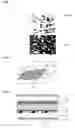 Fig. 04 - Liquid crystal display