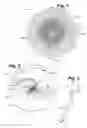 Fig. 02 - Ornamental device for providing moving visual effects