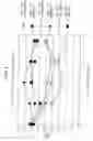 Fig. 03 - Multi-layer dry paint decorative laminate having discoloration prevention barrier