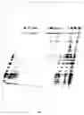 Fig. 02 - Composite products contaning a transparent or translucent capstock