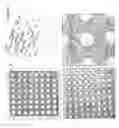 Fig. 06 - Nanotube assembly
