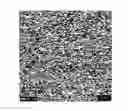 Fig. 01 - Composite material