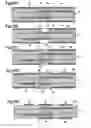 Fig. 06 - Multilayer printed wiring board
