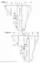 Fig. 06 - Fuel cell coolant bubble control