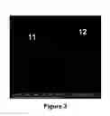 Fig. 04 - Thin film composite electrolyte