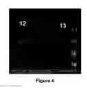 Fig. 05 - Thin film composite electrolyte