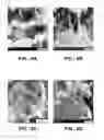 Fig. 07 - Nanostructural Electrode and Method of Forming the Same