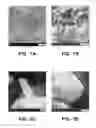 Fig. 08 - Nanostructural Electrode and Method of Forming the Same
