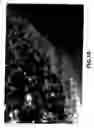 Fig. 09 - Graphite powders suited for negative electrode material of lithium ion secondary battery