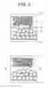 Fig. 04 - Electrode Structure Secondary Cell and Electrode Double Layer Capacitor
