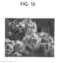 Fig. 11 - Electrode Structure Secondary Cell and Electrode Double Layer Capacitor