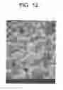 Fig. 13 - Electrode Structure Secondary Cell and Electrode Double Layer Capacitor