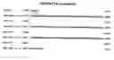 Fig. 35 - Composition, splice variants and methods relating to ovarian specific genes and proteins