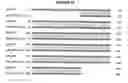 Fig. 44 - Composition, splice variants and methods relating to ovarian specific genes and proteins