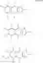 Fig. 27 - Method for detecting biomolecule, labeling dye used therefore, and labeling kit