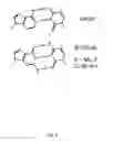 Fig. 06 - Differential amplification of mutant nucleic acids by PCR in a mixure of nucleic acids