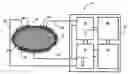 Fig. 01 - Implantable cell/tissue-based biosensing device
