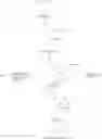 Fig. 07 - Labeling and non-enzymatic fragmentation of cDNA using a ribonucleoside triphosphate analog
