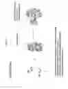 Fig. 05 - Biodetection by nucleic acid-templated chemistry