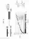 Fig. 15 - Biodetection by nucleic acid-templated chemistry